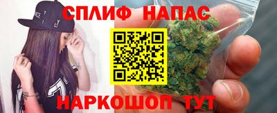 гашик Заводоуковск